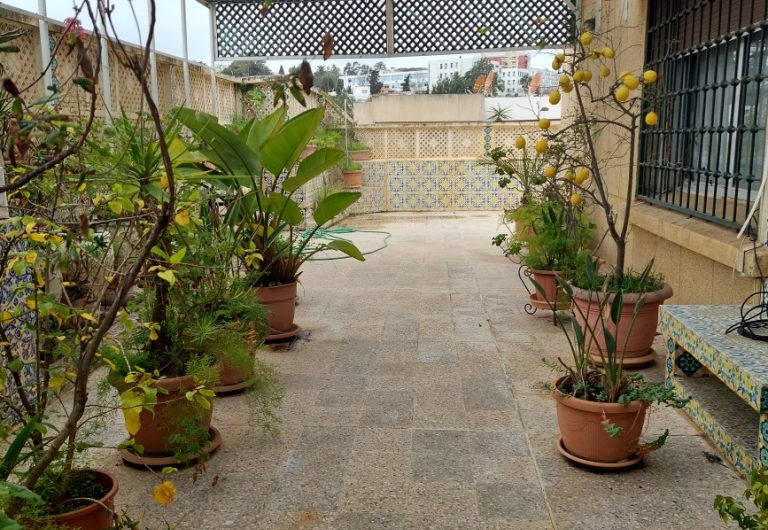 Vente Duplex à Val d’Hydra Résidence Chabani Alger