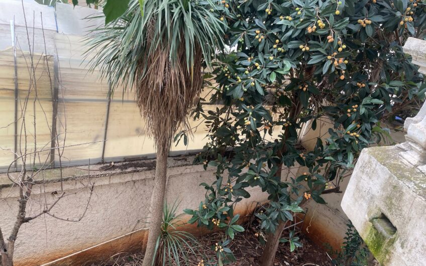 Location Villa Alger El biar