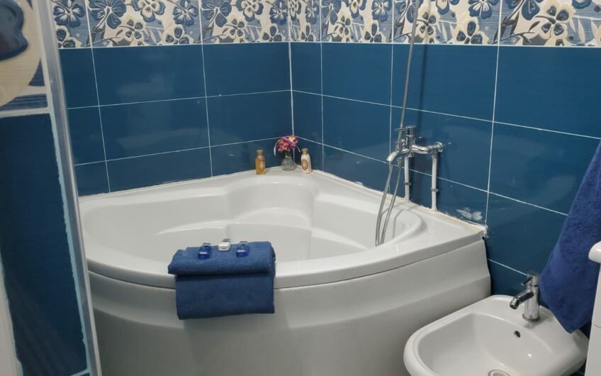 Location  Duplex Alger Ain benian