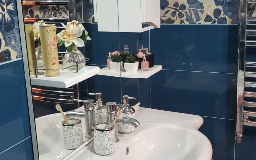 Location  Duplex Alger Ain benian