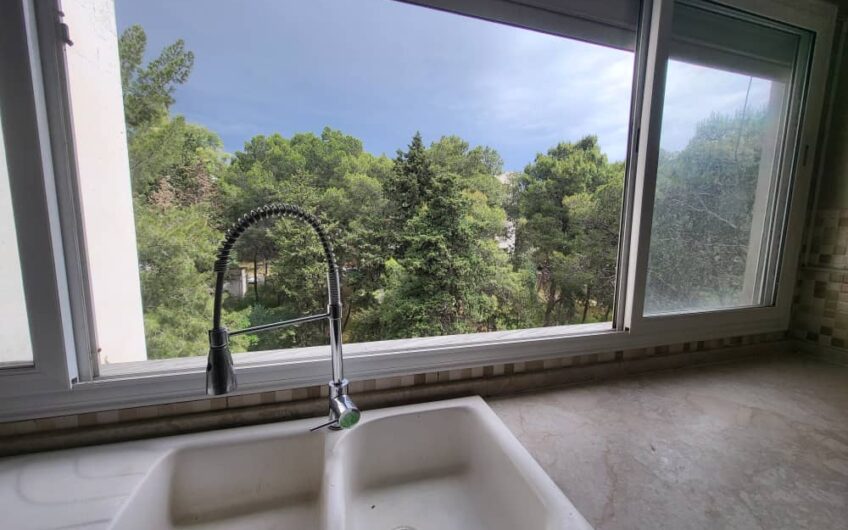 Vente appartement F3 Hydra